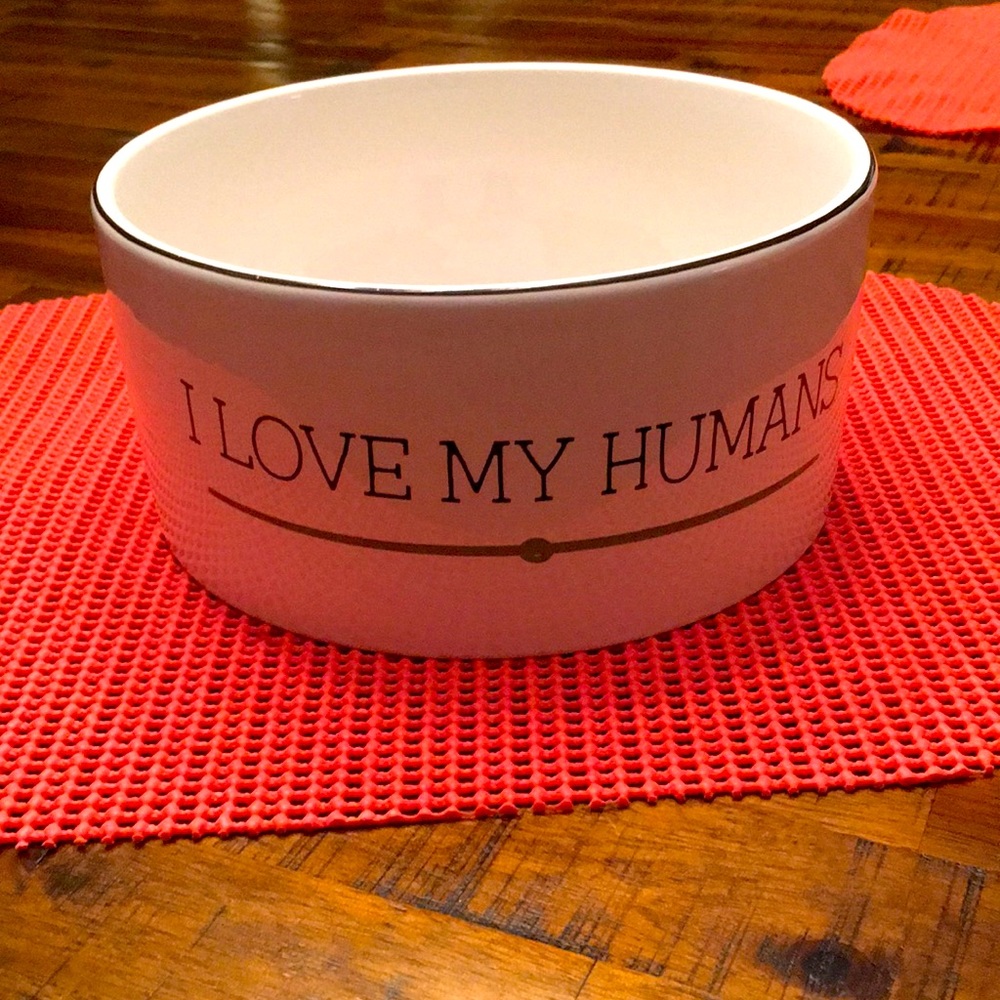 A Cute Doggie Bowl - Picture 3 of 7